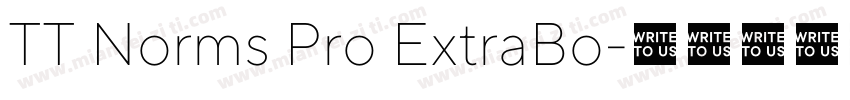 TT Norms Pro ExtraBo字体转换